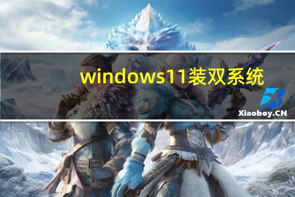 windows11装双系统-小白装机教程