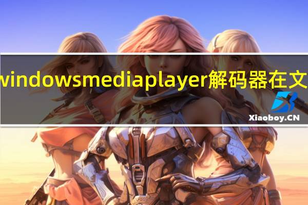 windows media player解码器在文件那里