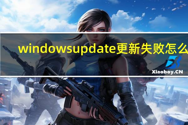 windows update更新失败怎么办（windows update更新失败）