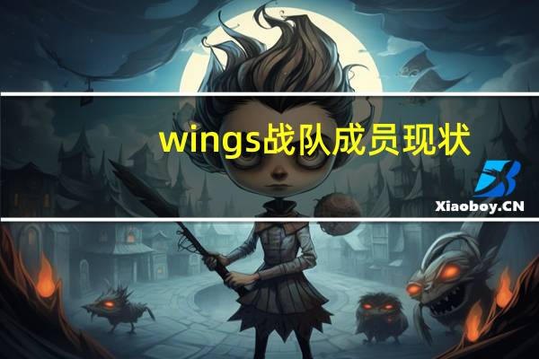 wings战队成员现状（wings战队）