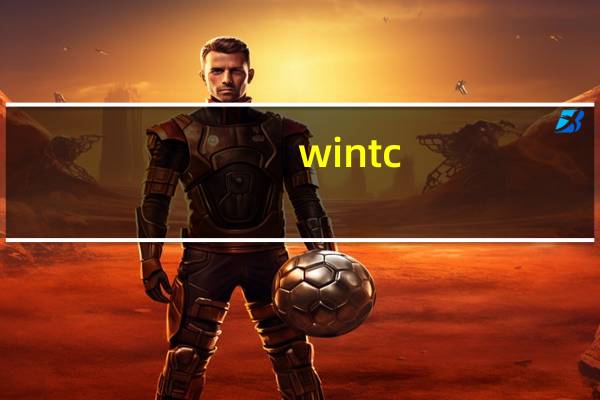 wintc(c语言编译器) V1.9.1 官方中文版(wintc(c语言编译器) V1.9.1 官方中文版功能简介)