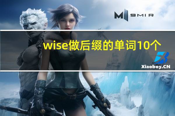 wise做后缀的单词10个