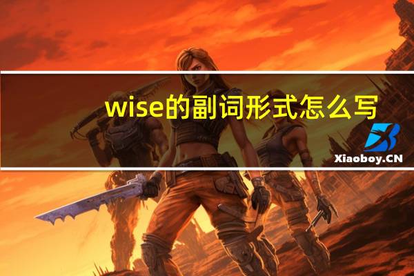 wise的副词形式怎么写