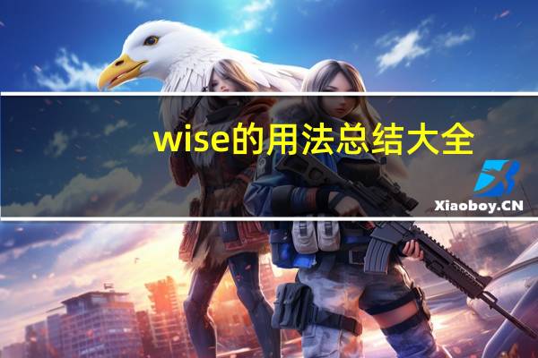 wise的用法总结大全