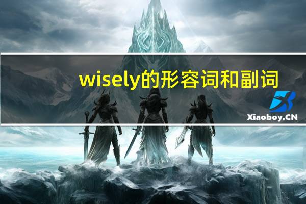 wisely的形容词和副词