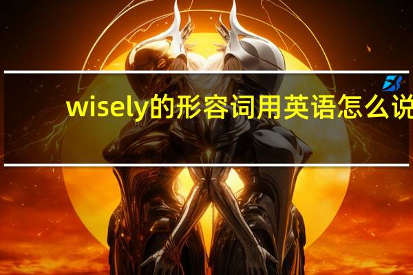 wisely的形容词用英语怎么说?