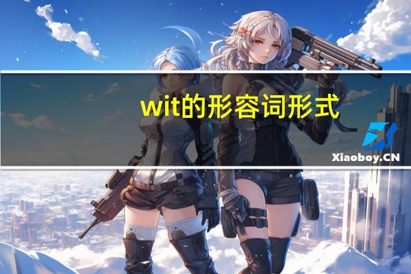 wit的形容词形式