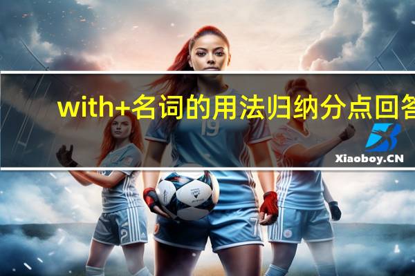 with+名词的用法归纳分点回答
