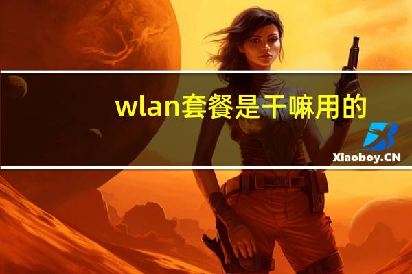 wlan套餐是干嘛用的（wlan套餐）