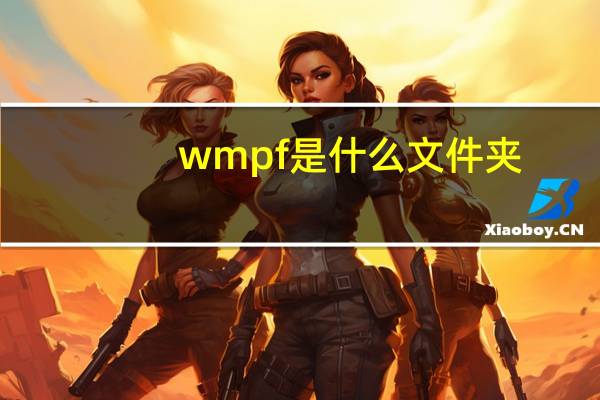 wmpf是什么文件夹（wmp）