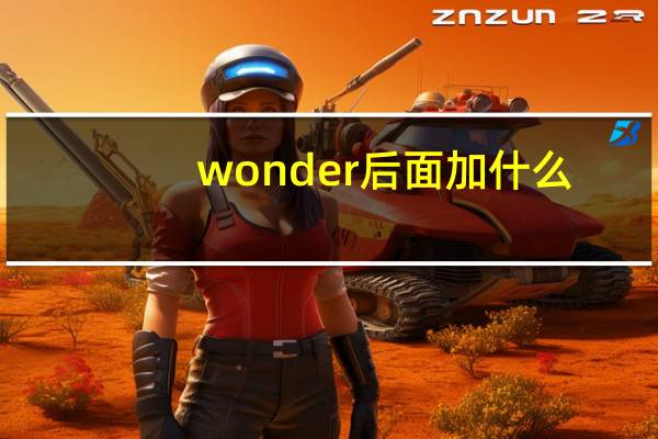 wonder后面加什么