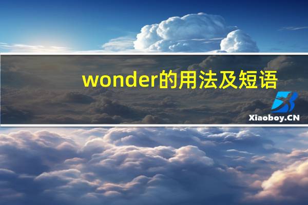wonder的用法及短语