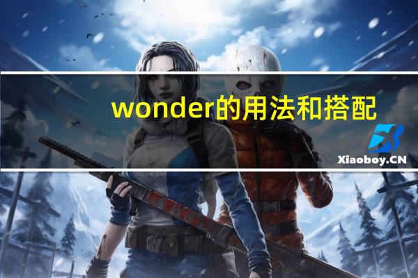 wonder的用法和搭配