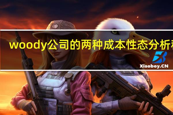 woody公司的两种成本性态分析程序