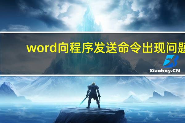 word向程序发送命令出现问题