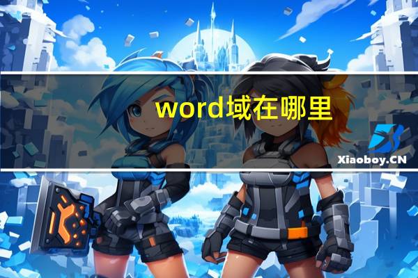 word域在哪里