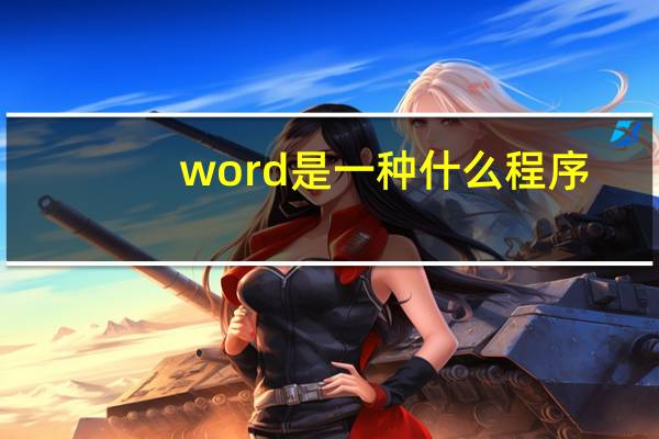 word是一种什么程序