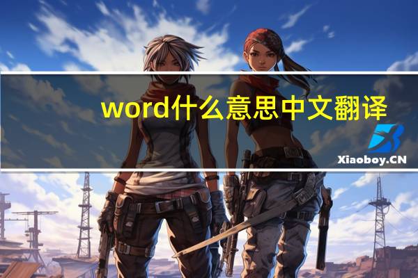 word什么意思中文翻译（word什么意思）