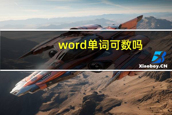 word单词可数吗