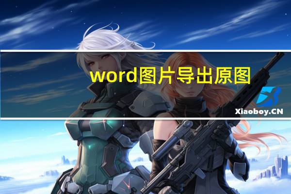 word图片导出原图（word图片导出）