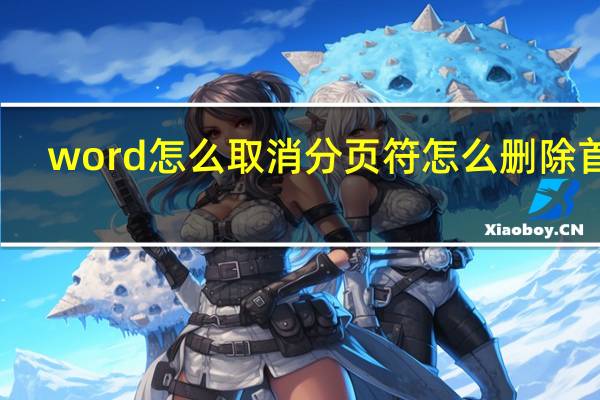 word怎么取消分页符怎么删除首页（word怎么取消分页符）