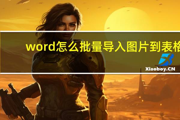 word怎么批量导入图片到表格（word怎么批量导入图片）