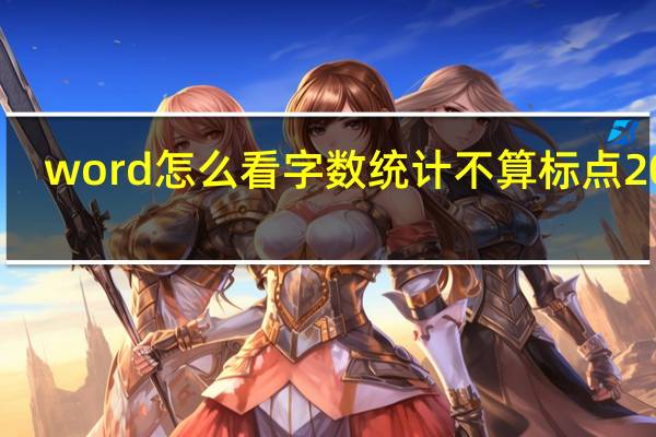 word怎么看字数统计不算标点2003（word怎么看字数统计）