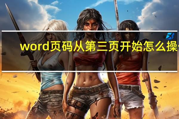 word页码从第三页开始怎么操作(word页码从第三页开始)