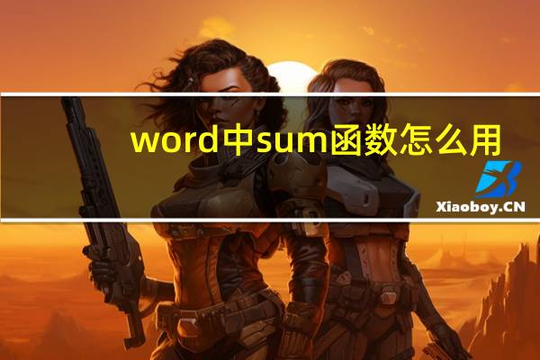 word中sum函数怎么用