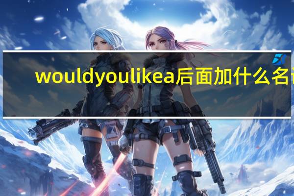 would you like a后面加什么名词
