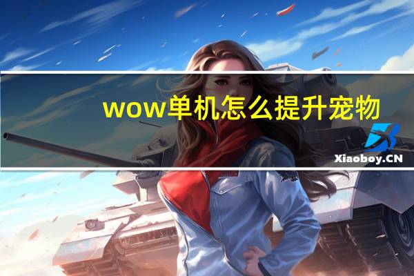 wow单机怎么提升宠物