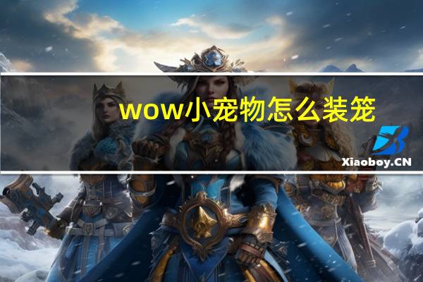 wow小宠物怎么装笼