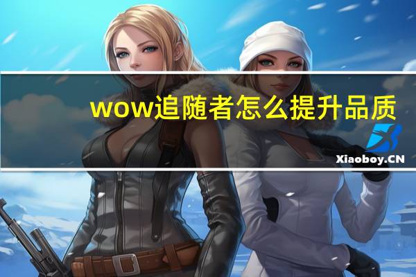 wow追随者怎么提升品质（wow追随者）