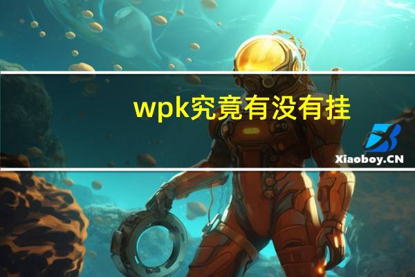 wpk究竟有没有挂，wpk透视挂使用教程
