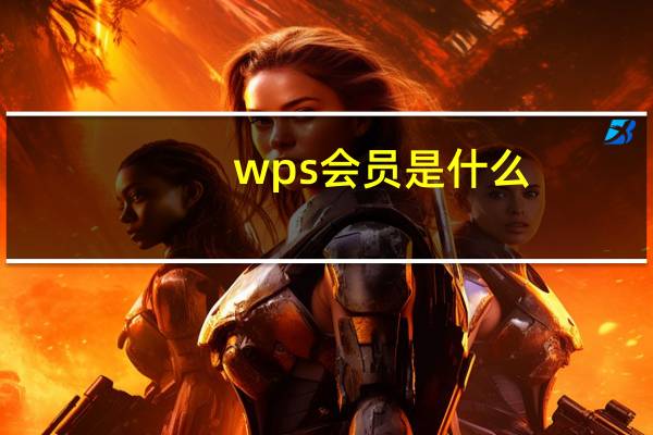 wps会员是什么