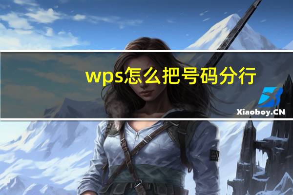 wps怎么把号码分行