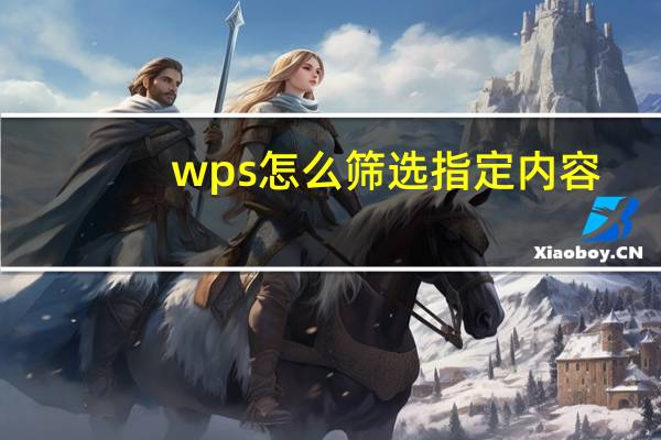 wps怎么筛选指定内容