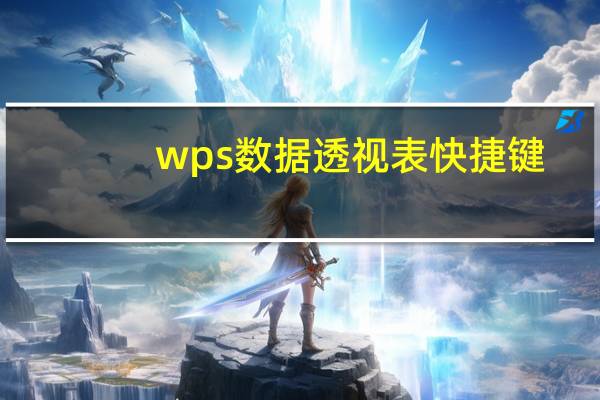 wps数据透视表快捷键