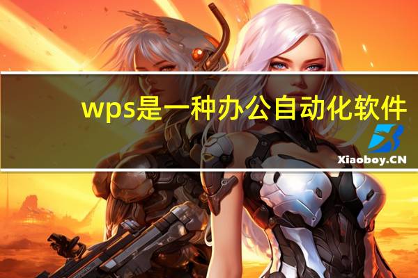 wps是一种办公自动化软件