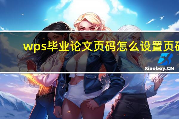 wps毕业论文页码怎么设置页码