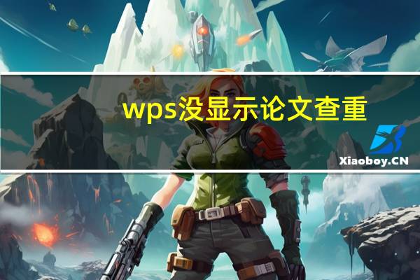wps没显示论文查重