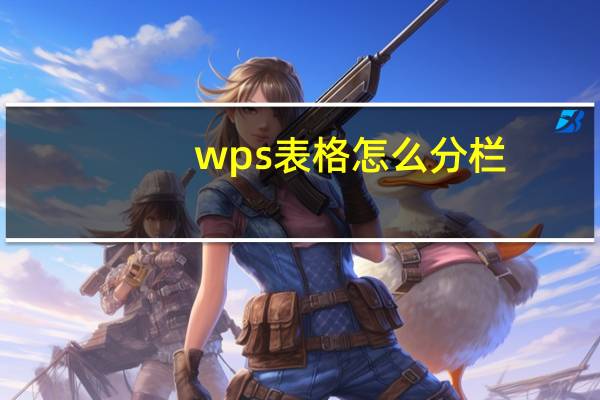 wps表格怎么分栏