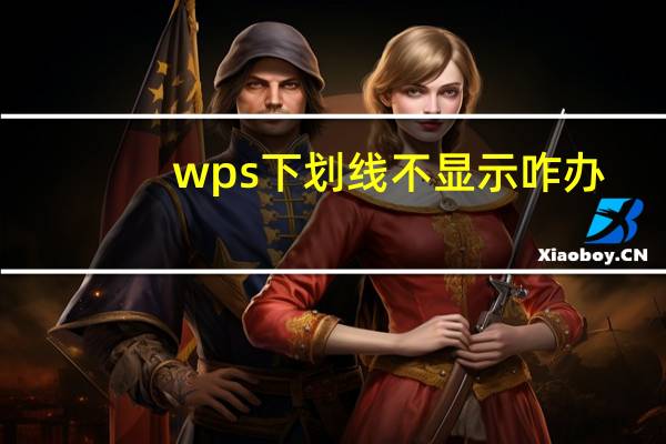 wps下划线不显示咋办（wps下划线不显示）