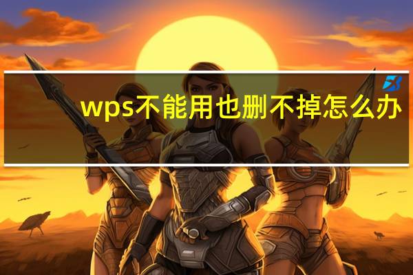 wps不能用也删不掉怎么办