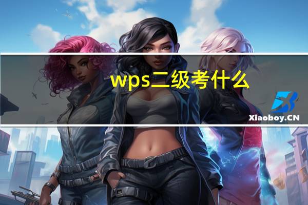 wps二级考什么