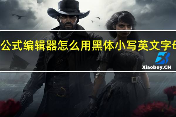 wps公式编辑器怎么用黑体小写英文字母表示向量(wps公式编辑器怎么用)