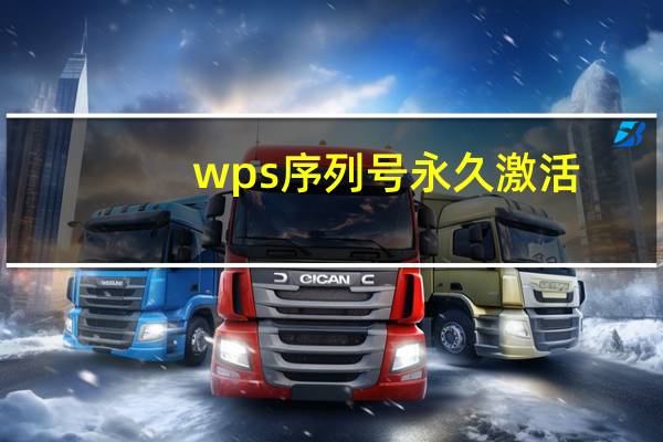 wps序列号永久激活（wps序列号）