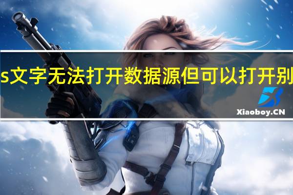 wps文字无法打开数据源但可以打开别的数据源（wps文字无法打开数据源）
