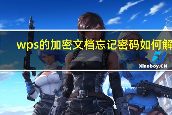 wps的加密文档忘记密码如何解决（wps加密文档忘记密码怎么办）
