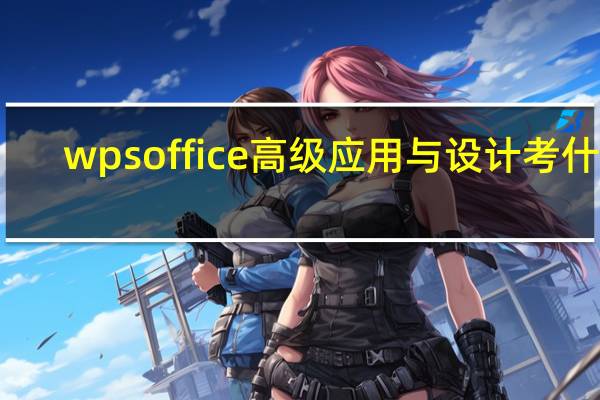 wps office高级应用与设计考什么